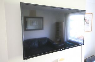 50 Inch Television; great for gaming.  